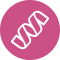 ico-cosa-vede-test-gine